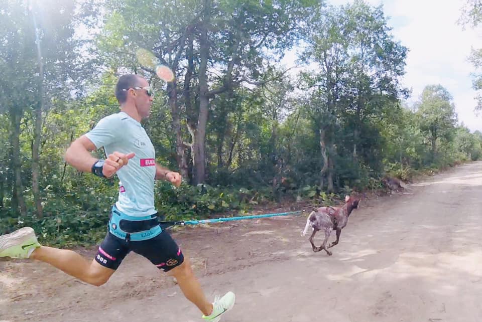 Coureur avec chien en harnais pour reprendre le sport en canicross